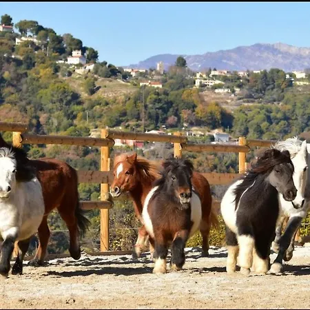 Appartamento 3 Pièces Confort Au Centre De Nizza